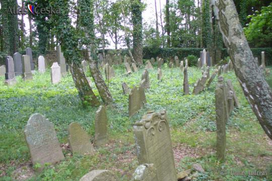 Židovský hřbitov Myslkovice - 