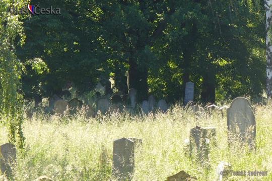 Židovský hřbitov Pohořelice - 