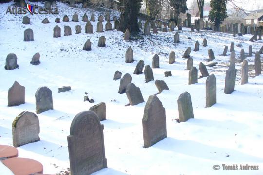Židovský hřbitov Přistoupim - 