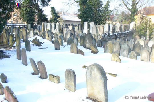 Židovský hřbitov Přistoupim - 