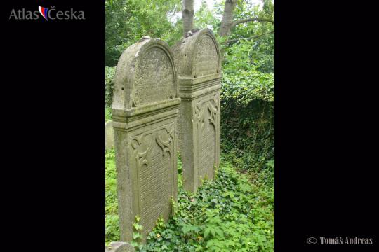 Židovský hřbitov Radenín - 