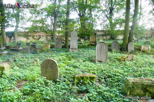 Židovský hřbitov Radnice u Rokycan - 