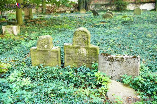Židovský hřbitov Radnice u Rokycan - 