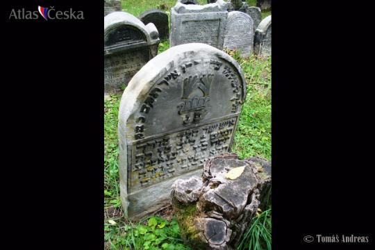 Židovský hřbitov Spomyšl - 