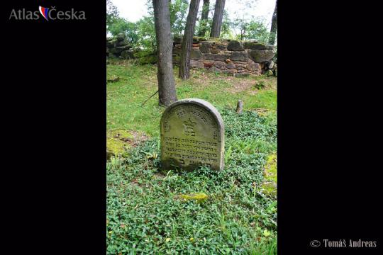 Židovský hřbitov Spomyšl - 
