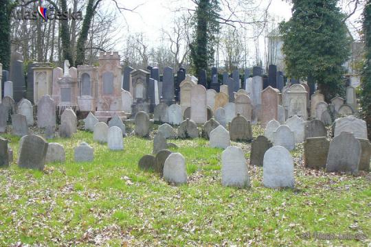 Židovský hřbitov Strakonice - 