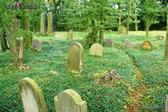 Židovský hřbitov Terešov - 