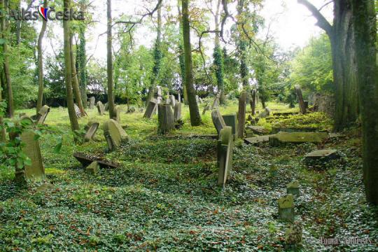Židovský hřbitov Terešov - 