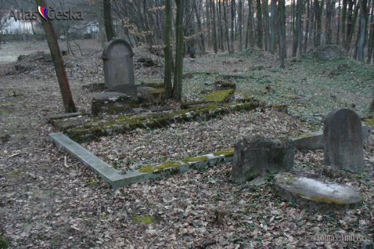Židovský hřbitov Třebotov - 