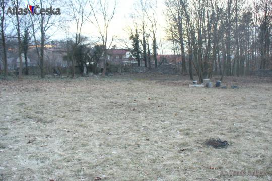 Židovský hřbitov Třebotov - 