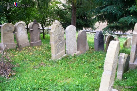 Židovský hřbitov Veselice - 