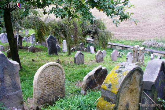 Židovský hřbitov Veselice - 