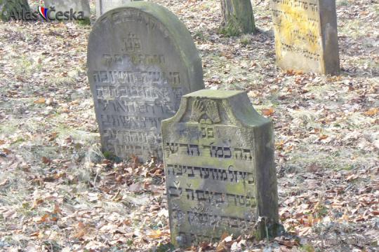 Židovský hřbitov Zlonice - 