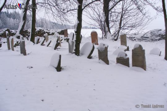 Židovský hřbitov Neustupov - 
