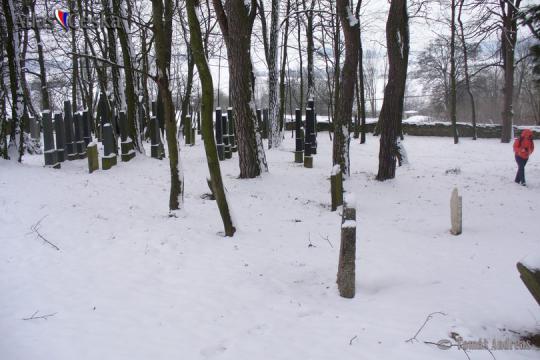 Židovský hřbitov Neustupov - 
