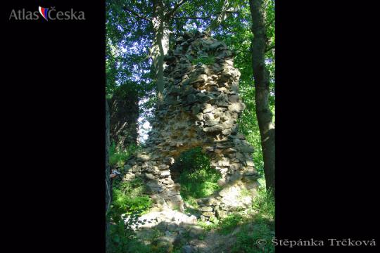Zřícenina hradu Rýzmburk u Oseka - 