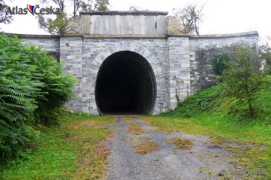 Tunel bývalé Ferdinandovy dráhy - Slavíč - 