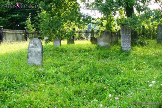 Židovský hřbitov Brumov - 