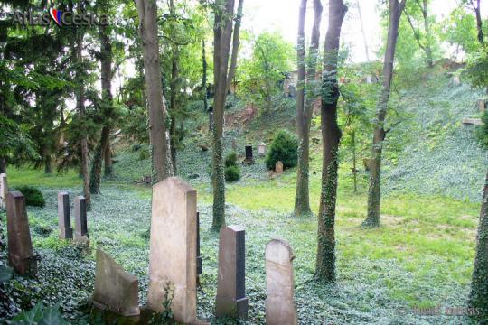 Židovský hřbitov Bučovice - 