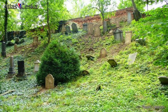 Židovský hřbitov Bučovice - 