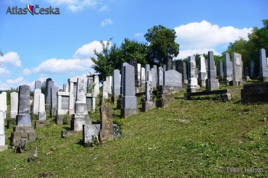 Židovský hřbitov Dambořice - 