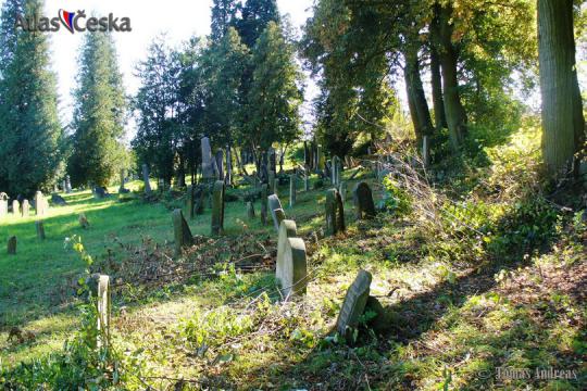 Židovský hřbitov Loštice - 