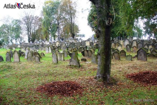 Židovský hřbitov Úsov - 