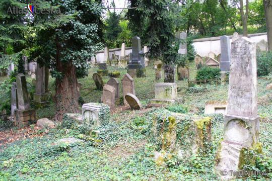 Židovský hřbitov Slavkov u Brna - 