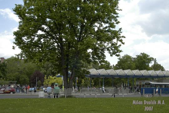 Park na náměstí OSN - 
