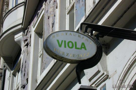 Viola - 