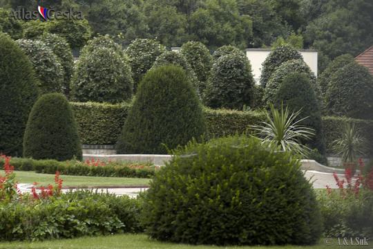Černín Palace Garden - 