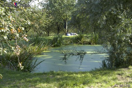 Jezírko v Seminářské zahradě na Petříně - 