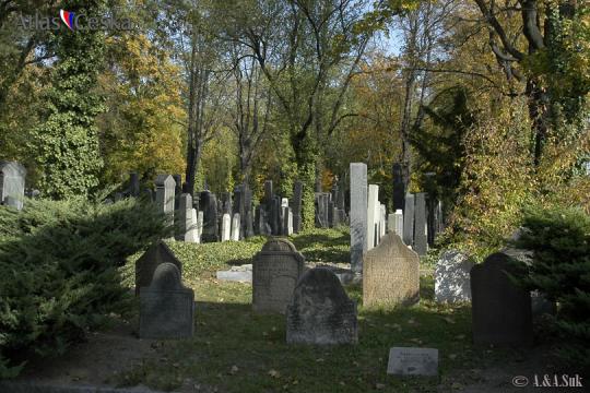 Nový židovský hřbitov na Olšanech - 