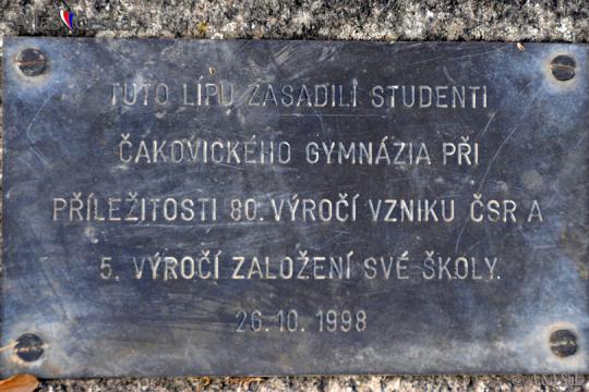 Strom studentů gymnázia v Čakovicích - 