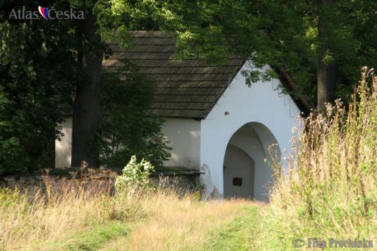 Židovský hřbitov Dřevíkov - 