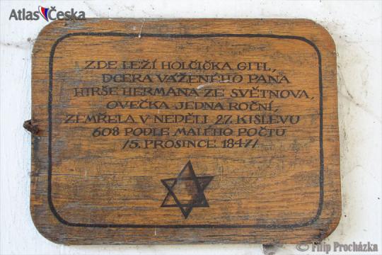 Židovský hřbitov Dřevíkov - 